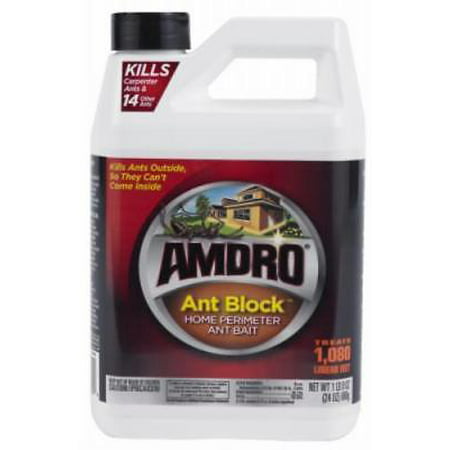 Amdro 24 OZ Ant Block Kills Ants Outside So They Can't Come (Best Way To Kill Ants Outside The House)