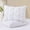 White1, variant on Goose Down Pillows Size Set of 2 - 750 Fill Power Hotel Quality, Ultra Soft Yet Supportive for Side// Sleepers, Breathable Cover & Oeko-TEX Certified