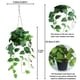 thumbnail image 2 of Planta Colgante Artificial de Pothos Elytus con Maceta Verde, 2 of 8