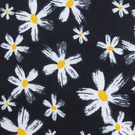 Traditional Daisy