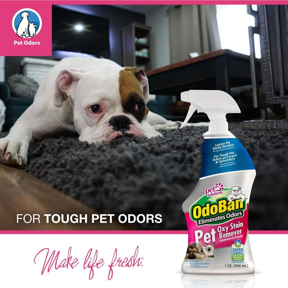 OdoBan Pet Solutions 32oz Spray Bottle Oxy Stain Remover, 3-Pack 3 Pack