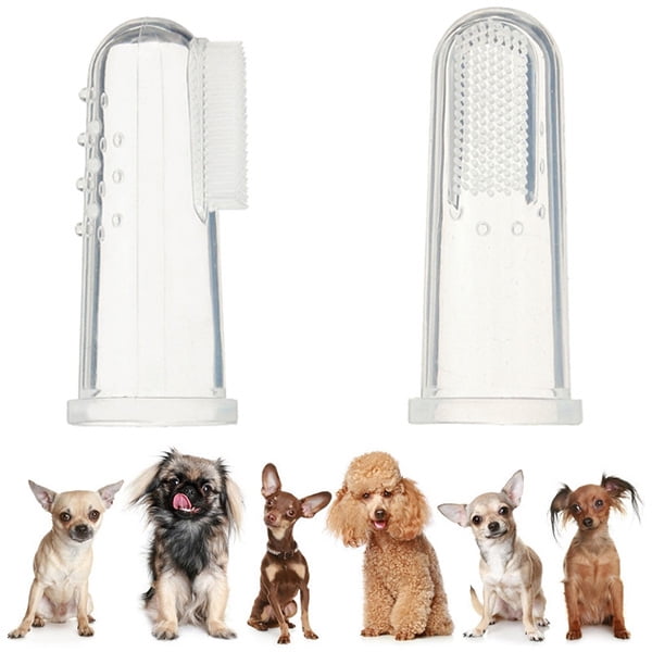 dog toothbrush walmart