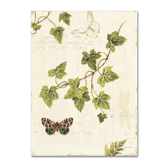 Trademark Fine Art "Ivies and Ferns II" Canvas Art by Lisa Audit