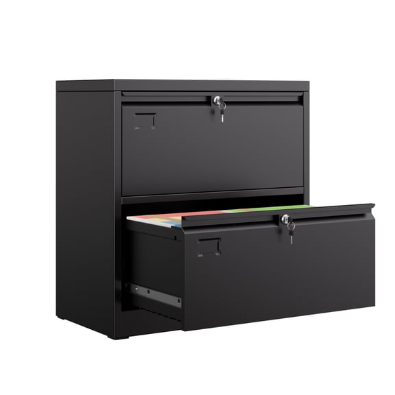 AOBABO Metal Lateral File Storage Cabinet with 2 Drawer,Lockable Steel Filing Storage Cabinet for Office and Home, Black, Assembly Required