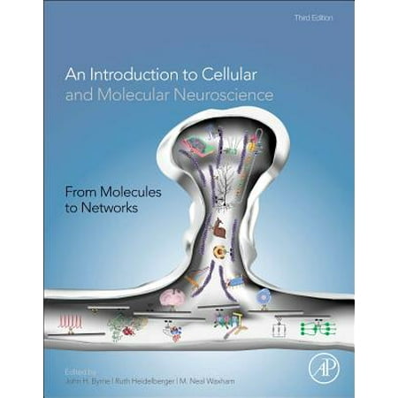 From Molecules To Networks An Introduction To Cellular