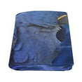 thumbnail image 2 of CADecor Hyacinth Macaw Couch Sofa or Bed Fleece Blanket Throw 58x80 inches, 2 of 3