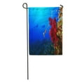 thumbnail image 1 of POGLIP Drapeau de Jardin Poisson Rouge Plongée sous-Marine sur Récif de Corail Tropical Coloré Bannière Décorative Maison 12x18 Pouces, 1 of 2