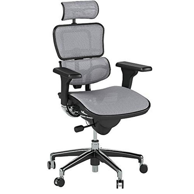 Ergohuman High Back Executive Chair with Headrest, Grey Mesh Seat & Back