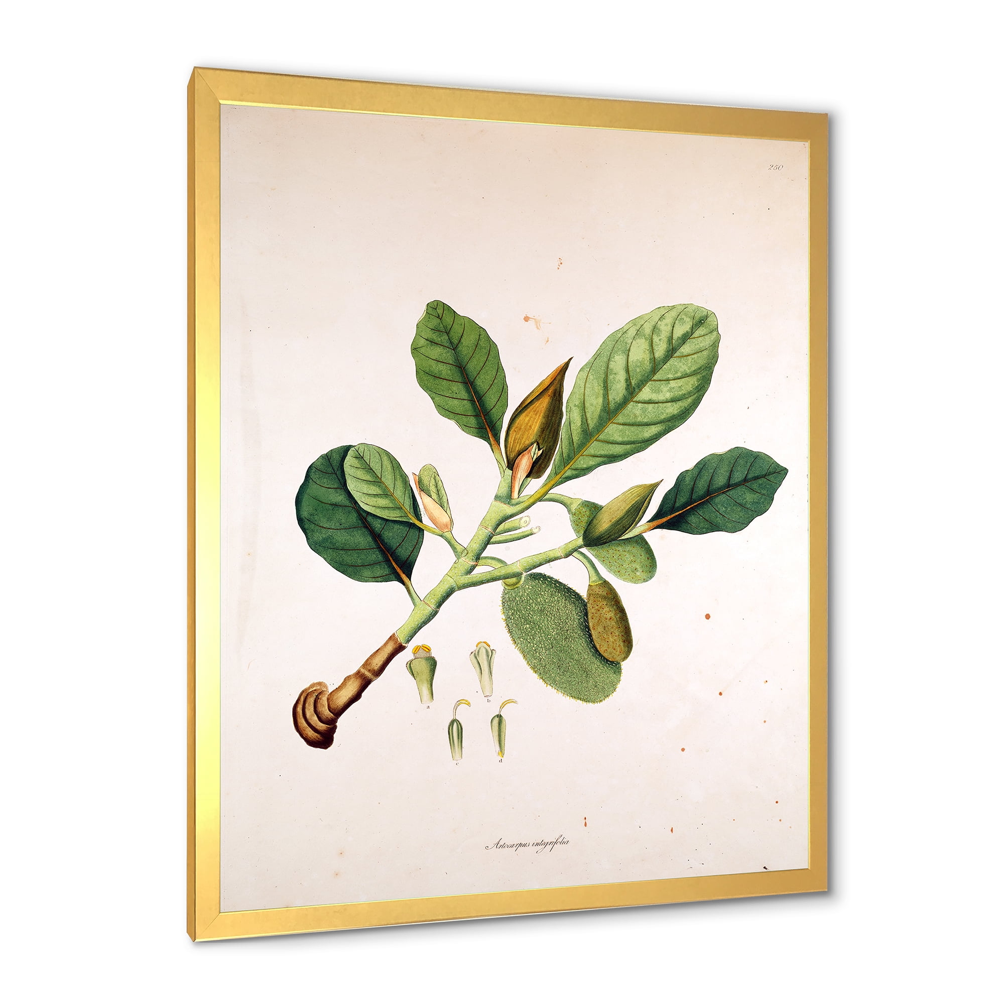 Designart 'Ancient London Plants I' Farmhouse Framed Art Print
