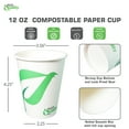 thumbnail image 3 of 12oz Disposable Compostable White Paper Coffee Cups Green Leaf, 3 of 7