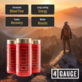thumbnail image 3 of 4 GAUGE Preworkout - Delicious, Smooth, Long Lasting Energy Without The Crash - No Artificial Sweeteners - Fruit Blast Flavor - 30 Servings - L-Citrulline Nitric Oxide Booster, 3 of 10
