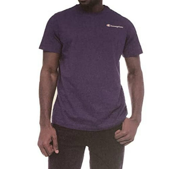 Champion Men's Short Sleeve T-Shirt (Navy, Large)