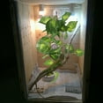 thumbnail image 2 of IFANLANDOR Lizard Box Plants Decor Fake Plant Ornament Light Green Plastic 1Pack, 2 of 7