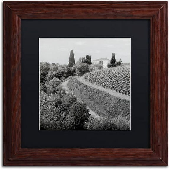 Trademark Fine Art "Tuscany V" Canvas Art by Alan Blaustein, Black Matte, Wood Frame