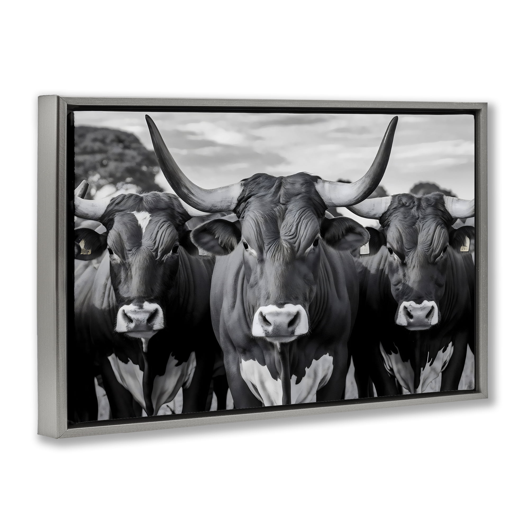 Stupell Industries Three Longhorns in a Row Gray Framed Floater Canvas Wall Art, design by Creative Studio