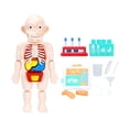 thumbnail image 4 of Rompecabezas de aprendizaje,Juguete de anatomía del cuerpo humano DIY educativo ensamblado,Juguete de aprendizaje temprano Cognición sensorial Ayudas para la enseñanza,Juguetes de desarrollo CUTICAT Rompecabezas de aprendizaje, 4 of 6