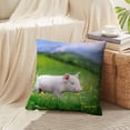 thumbnail image 4 of LALILO Throw Pillow Covers Young Pig Spring Green Grass Meadow Pig Cushion Cover 18" x 18", 4260 Pack, 4 of 6