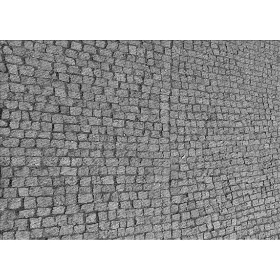 Ahgly Company Machine Washable Indoor Rectangle Transitional Grey Gray Area Rugs, 7' x 10'