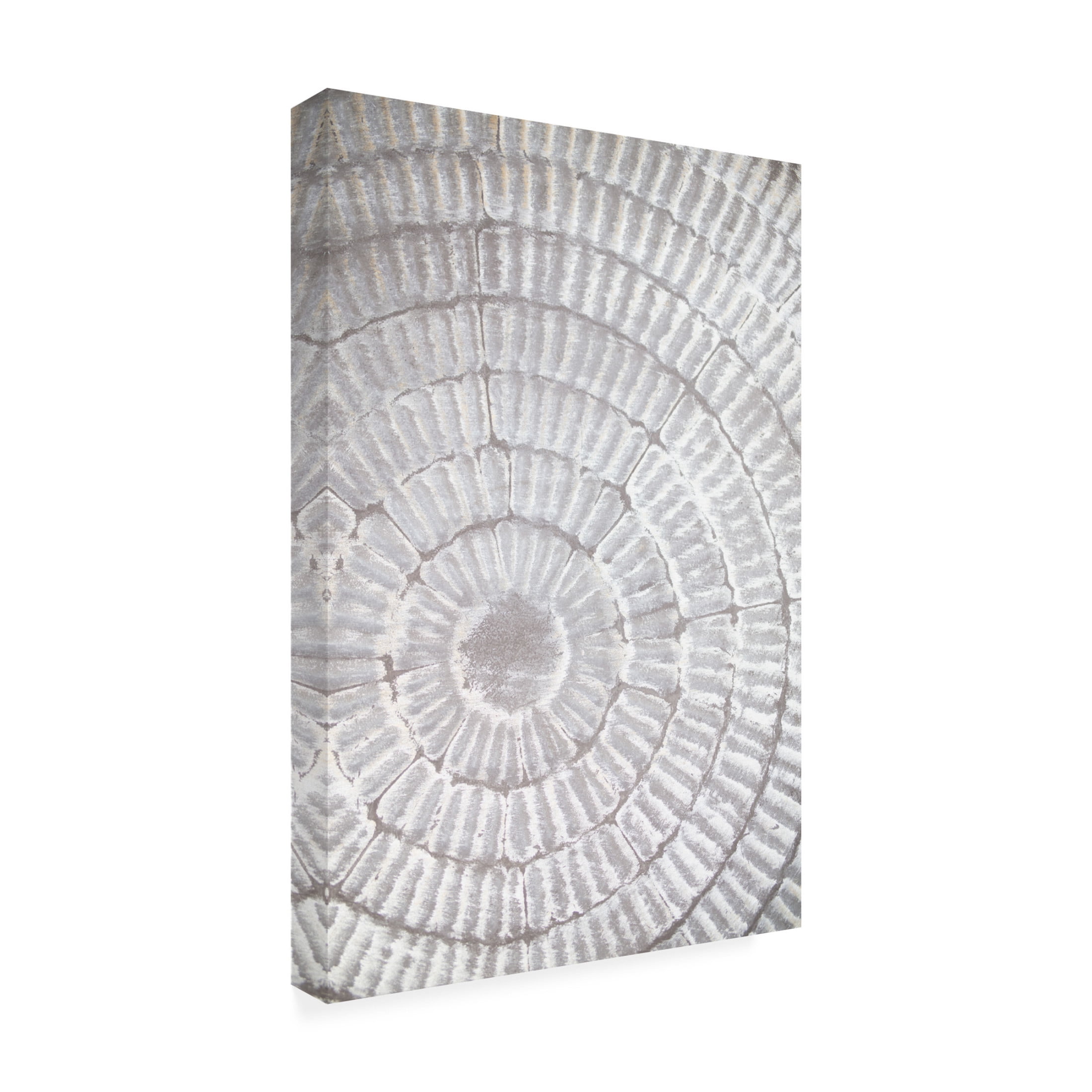 Trademark Fine Art Pictufy Studio Patternplate Grey 1 Canvas Wall Art