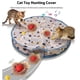 thumbnail image 3 of Túnel interactivo Billuyoard para gatos juguete con bolas de captura para entrenamiento de agilidad, 3 of 6