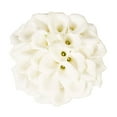 thumbnail image 2 of Bloomingmore White Mini Calla Lilies, 50 Stems, Fresh Cut Flowers, 2 of 7
