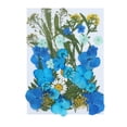thumbnail image 1 of WREESH Real Dried Presse Flowers Leaves Natural Set with Butterfly Stickers, 1 of 1