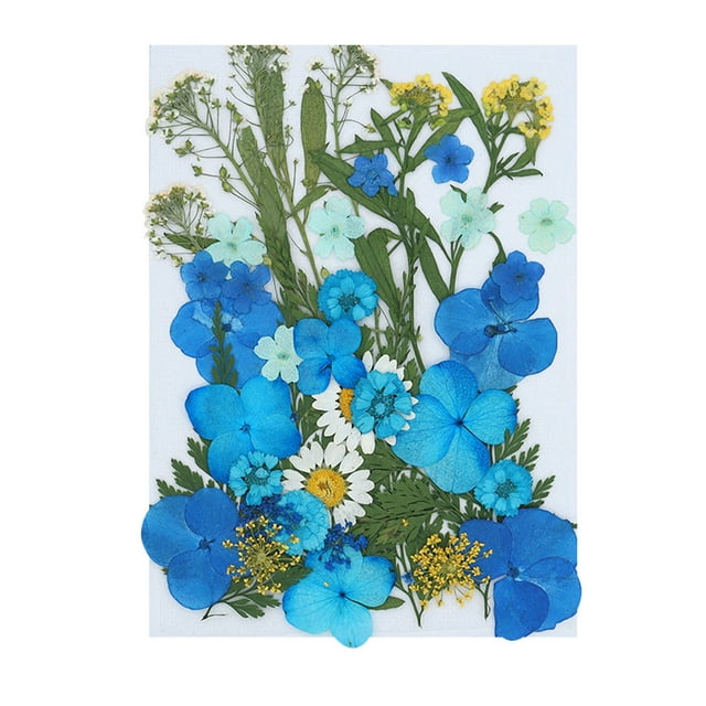 Vaidha Real Dried Presse Flowers Leaves Natural Set with Stickers