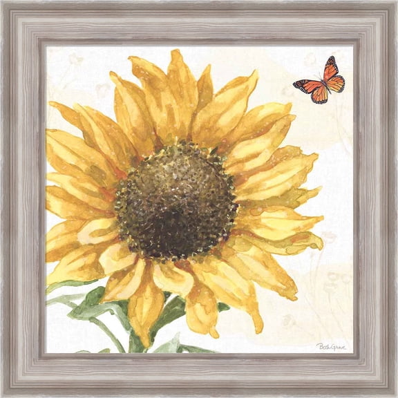 Great Art Now Sunflower Splendor IX by Beth Grove, Framed Wall Art, 20W x 20H