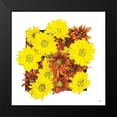 thumbnail image 2 of Quillen, Donnie 12x12 Black Modern Framed Museum Art Print Titled - Floral Pop III, 2 of 5
