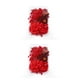 thumbnail image 3 of Flores secas Bewildely para manualidades y velas 2Conjunto tipo6, 3 of 6