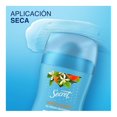 thumbnail image 2 of Antitranspirante Secret 48 h protección Orange blossom barra invisible 45 g, 2 of 4