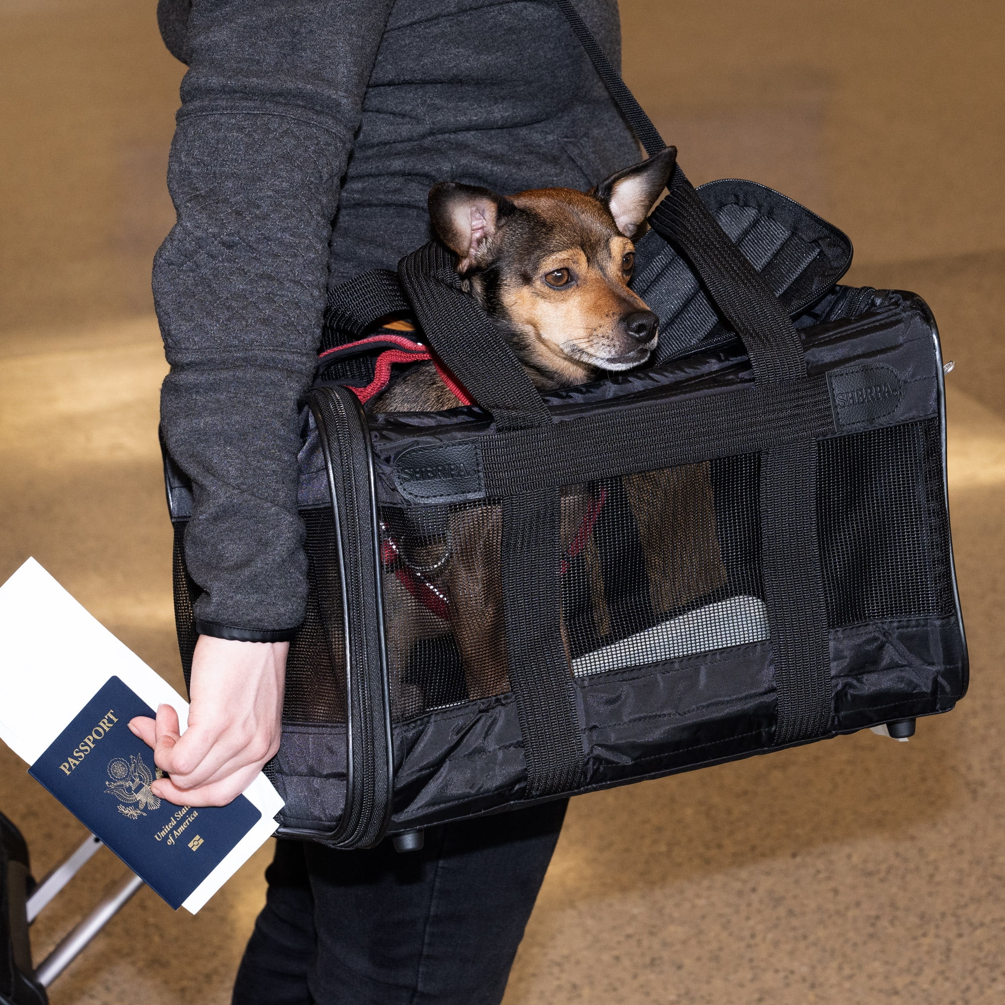 Sherpa Original Deluxe Travel Pet Carrier, Airline Approved