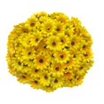thumbnail image 1 of 4 cm de dos capas de pequeño crisantemo girasol simulación de girasol flor crisantemo cabeza de flor, 1 of 6