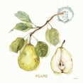 thumbnail image 2 of My Greenhouse Fruit I Poster Print by Audit Lisa (24 x 24), 2 of 2