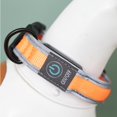 thumbnail image 4 of Light up Dog Collar Adjustable Rechargeable Glowing Pet Collar Dog Safety Light, 4 of 10