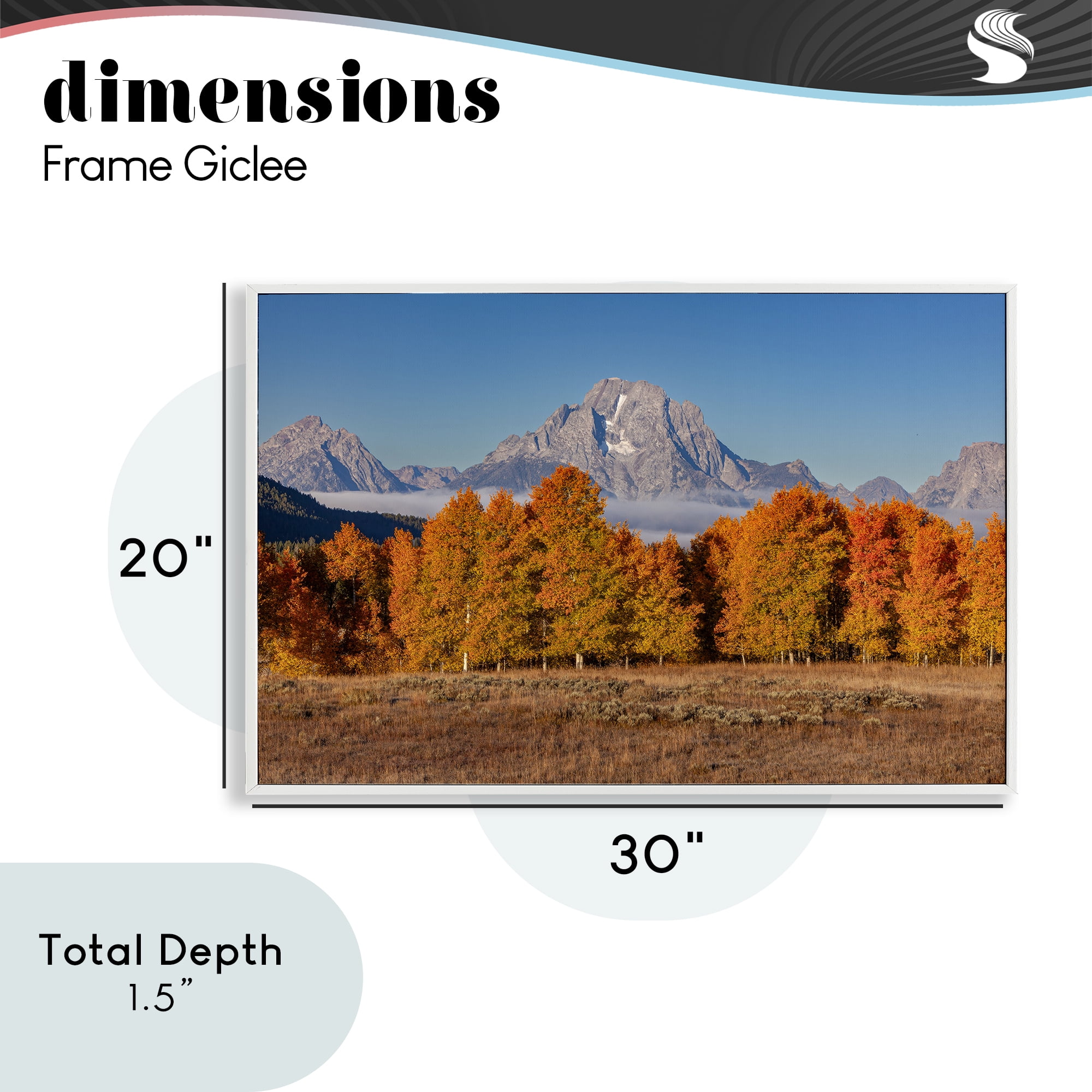 Autumn Tree Line With Mountain White Framed Giclee Art, design by Shelley Carlisle