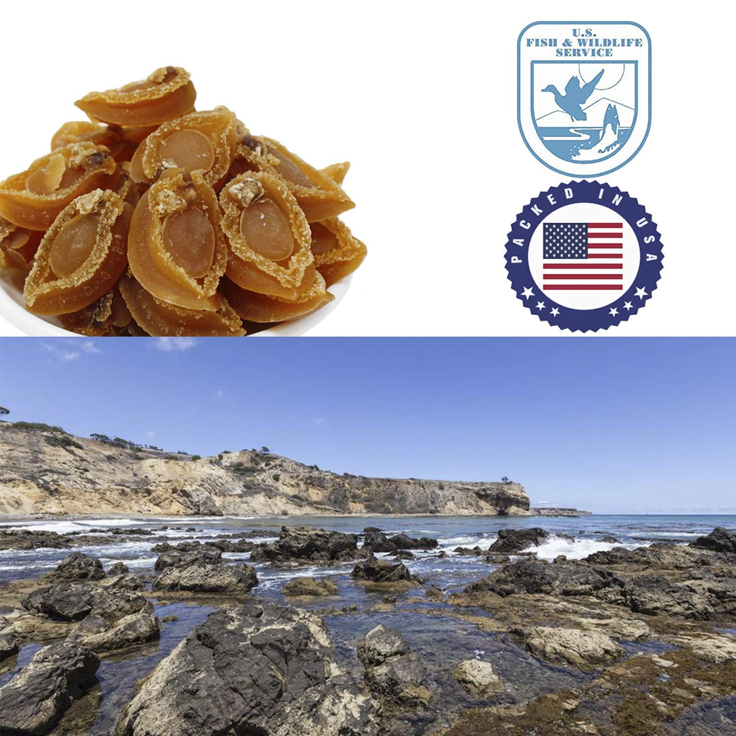 1LB Dried Abalone Baoyu,Dried Seafood Jerky & Dried Meats 80-100 pcs LB Bag Seafood Rich in Collagen 100% Natural Sun Dried Seafood