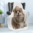 thumbnail image 4 of Chihuahua Soft Flannel Fleece Throw Blanket, Plain Backgorund Photo of Funny Puppy Lying Print, Cozy Plush for Indoor and Outdoor Use, 50" x 60", Umber Camel, by Ambesonne, 4 of 5