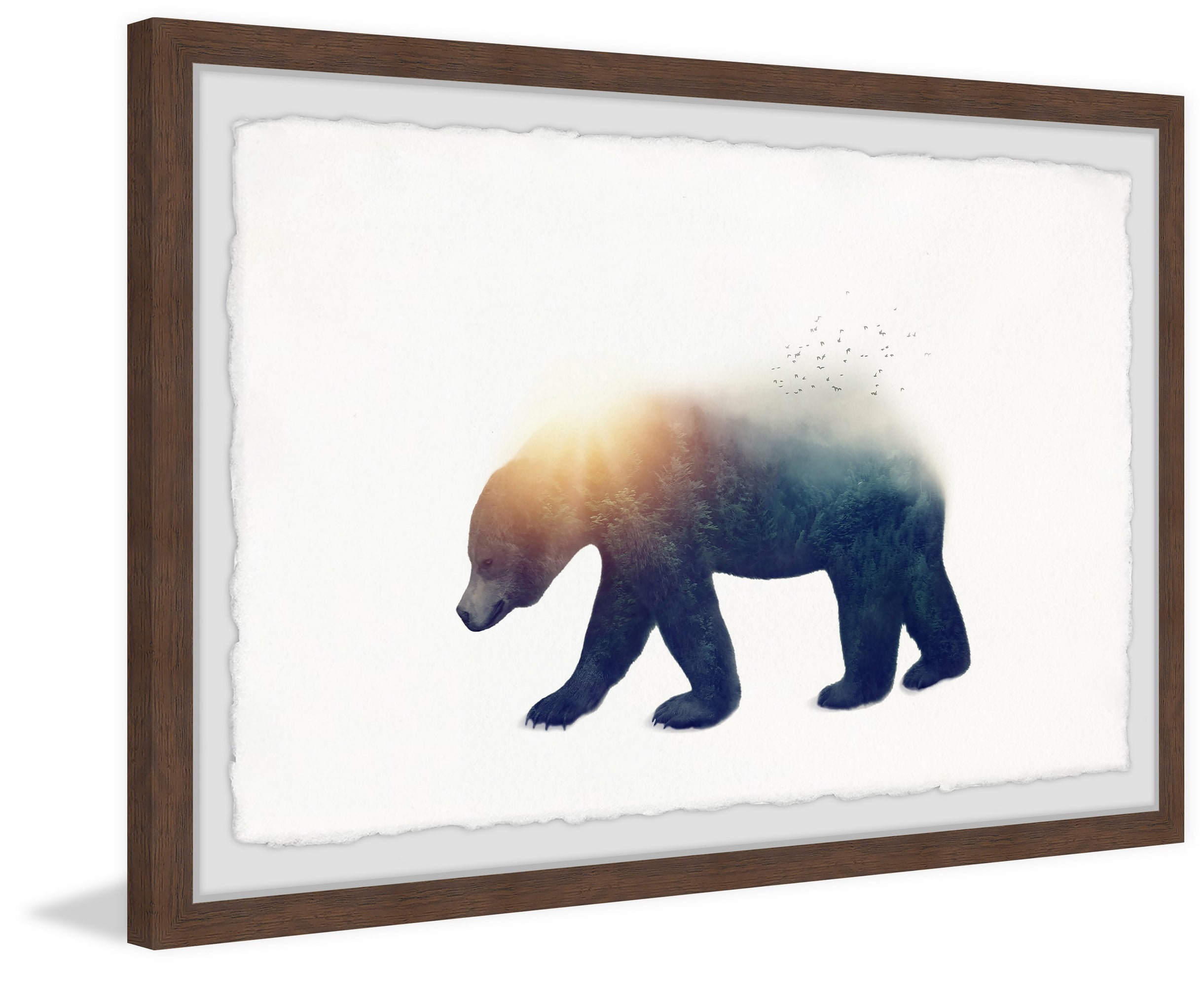 Marmont Hill Sun Bear Framed Wall Art, 16" x 24"