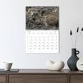 thumbnail image 3 of Pig stuff - the wild boars are on the loose (Monthly Wall Calendar 2026 11.7 x 16.5 (open)), CALVENDO 14 Month Calendar, 3 of 9