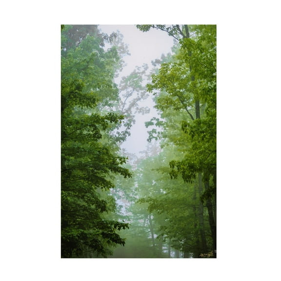 Canvas Wall Art - Life BeautifuLEE 'Green Glow Woods 1' Wall Art for Living Room, Bedroom, or Office Décor by Trademark Fine Art - 12 x 19 Inches