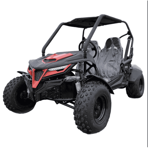 Trailmaster Cheetah 200 Go kart ,Upgraded rear end, high back seats, Full Welded Roll Cage