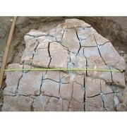 Dexpan Expansive Demolition Grout 11 Lb. Bucket for Rock Breaking, Concrete Cutting, Excavating. Alternative to Demolition Jack Hammer Breaker, Jackhammer, Concrete Saw, Rock Drill (#2 (50F-77F)