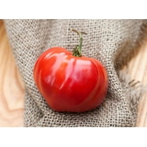 Abe Hall Heirloom Tomato Premium Seeds Packet