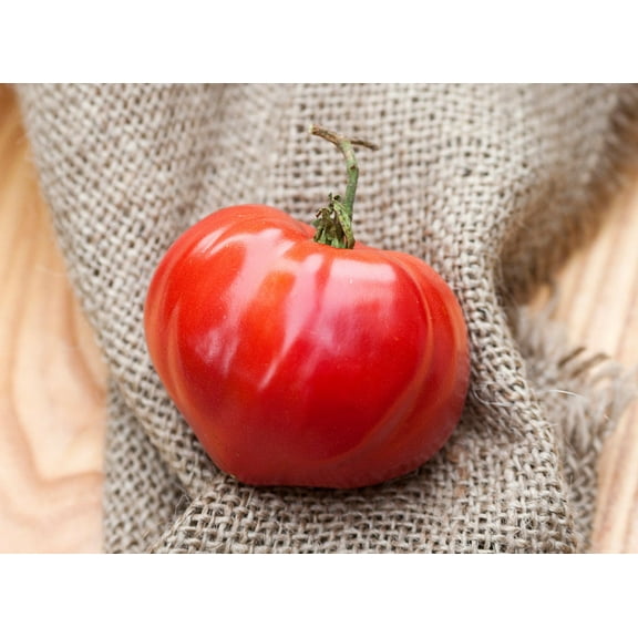 Abe Hall Heirloom Tomato Premium Seeds Packet