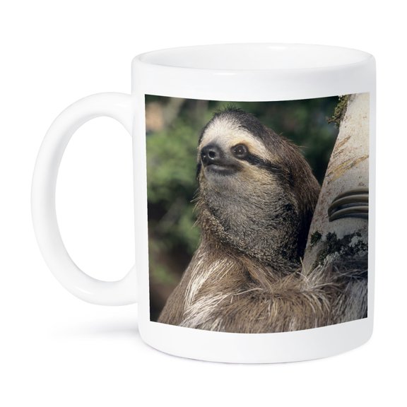 3dRose, Three-toed Sloth wildlife, Costa Rica - SA22 KSC0126 - Kevin Schafer, 15oz Mug