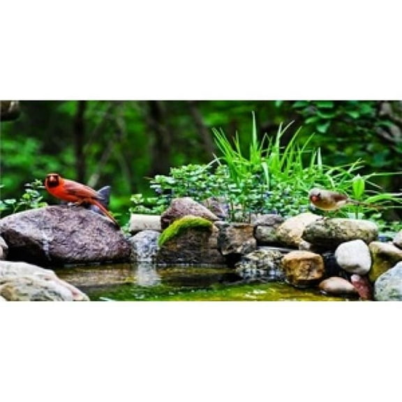 212 Main LPO589 Two Cardinals at Pond Photo License Plate