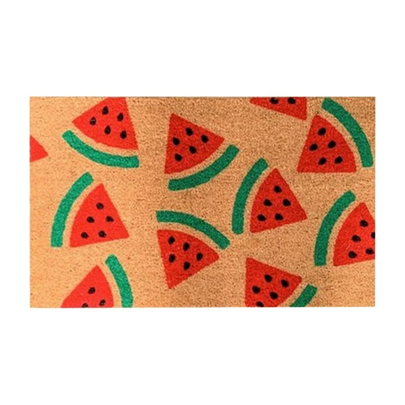 Front Doormat Indoor Entrance Doormats Rugs for Entryway Watermelon Carpet Non Entrance Door Entrance Pad Area Rug Tape for Tile Floors Deals Today 2025 Vintage Rug 16x24IN
