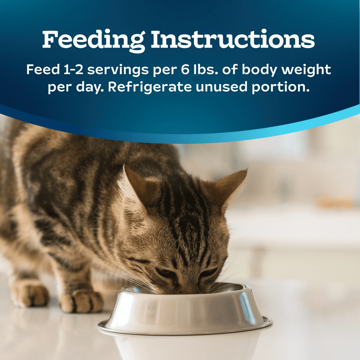 Blue Buffalo Tastefuls Spoonless Singles Wet Cat Food Paté, Chicken, 2x1.3oz