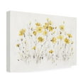 thumbnail image 4 of Lisa Audit 'Wildflowers I Bright Yellow' Canvas Art, 4 of 4